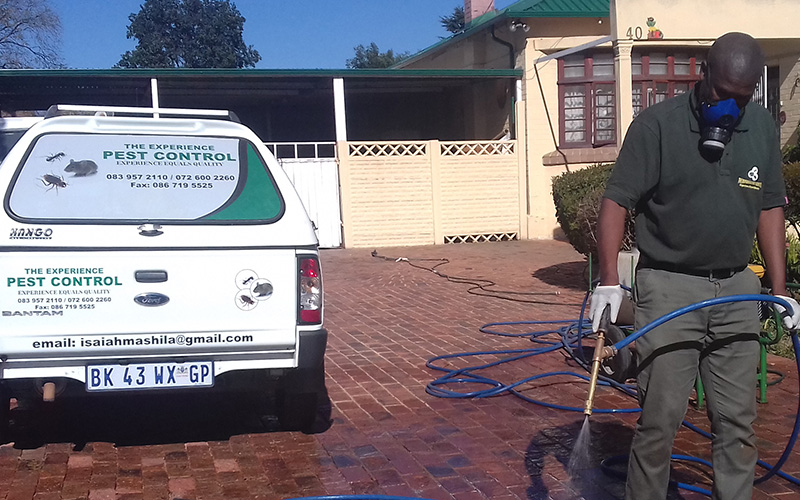 the-experience-pest-control